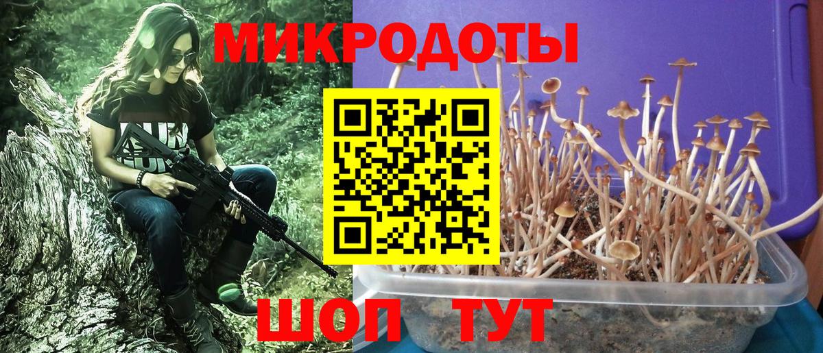 Галлюциногенные грибы мицелий  Вход с VPN  Переславль-Залесский  Галлюциногенные грибы ЛСД 